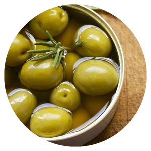 Conservas & Antepastos